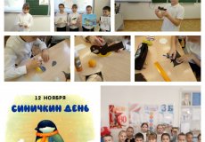 День Синицы